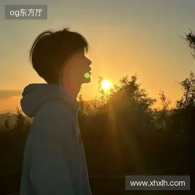 强英坦